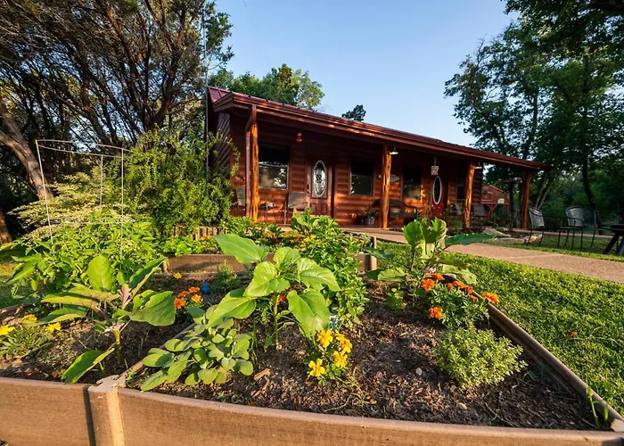 Pet Friendly Cabin 4 - 15 Minutes From Magnolia And Baylor