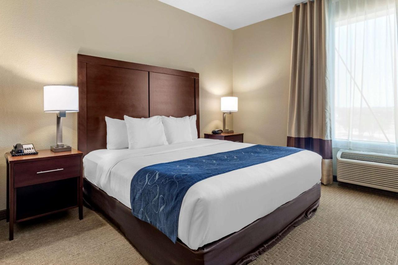 Comfort Near Area Hotel 3*