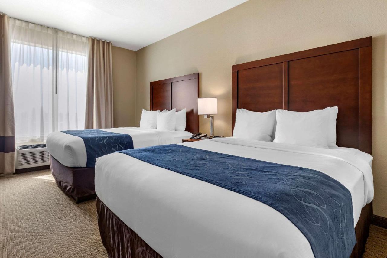 Comfort Near Area Hotel 3*