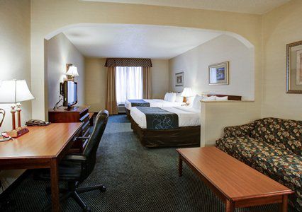 Comfort Near Area Hotel