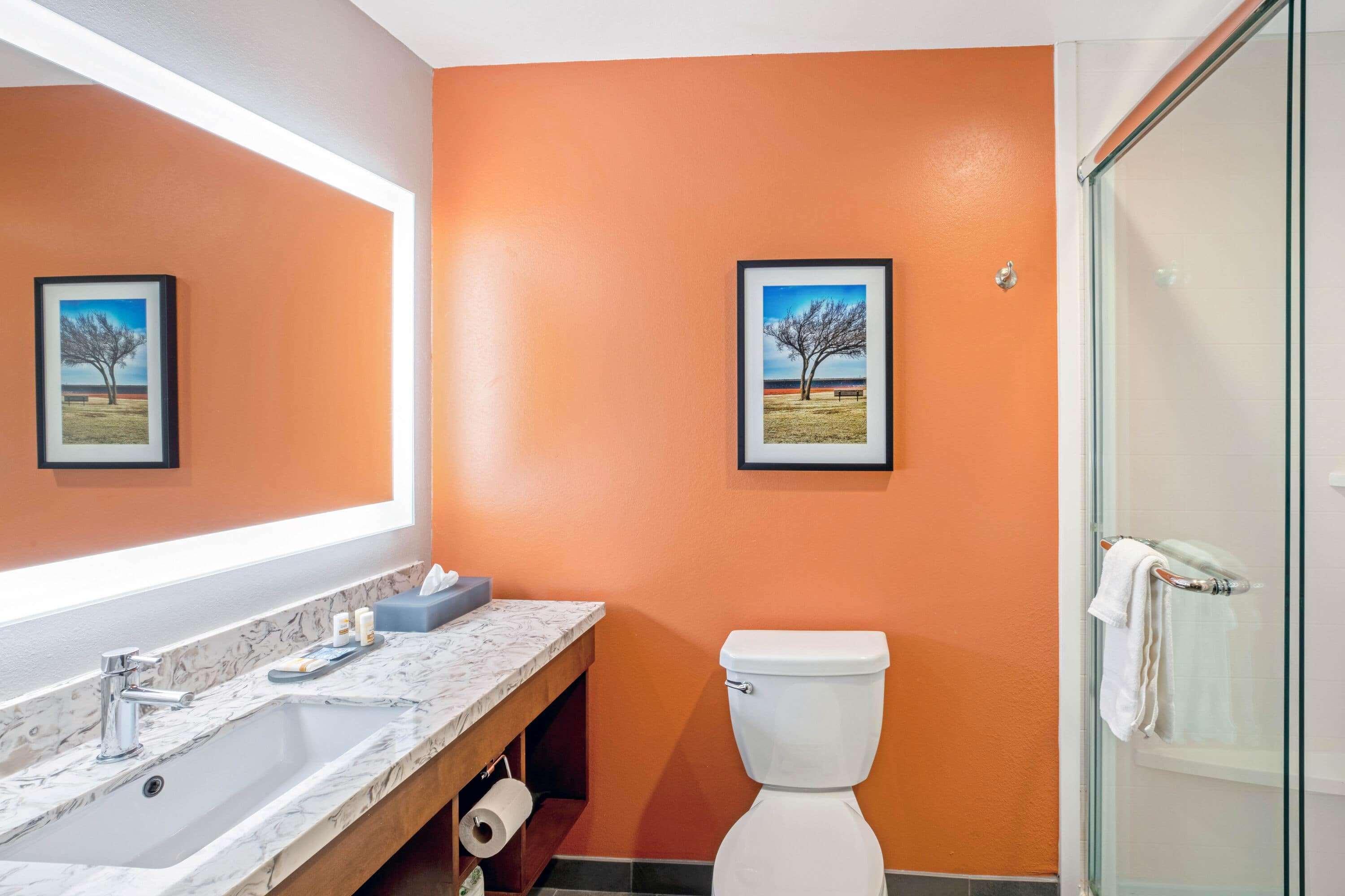 La Quinta By Wyndham Baylor Downtown Hotel Waco