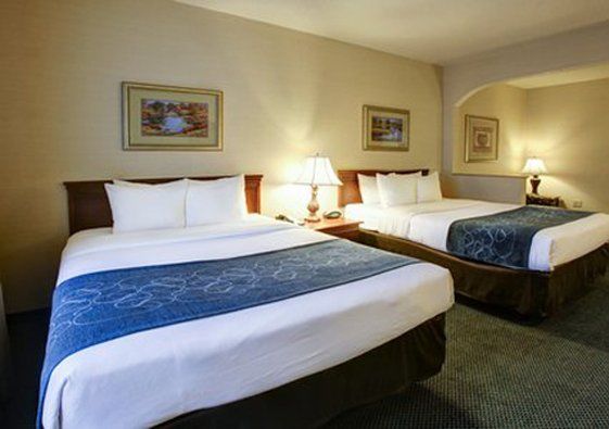 Hotel Comfort Near Area 3*