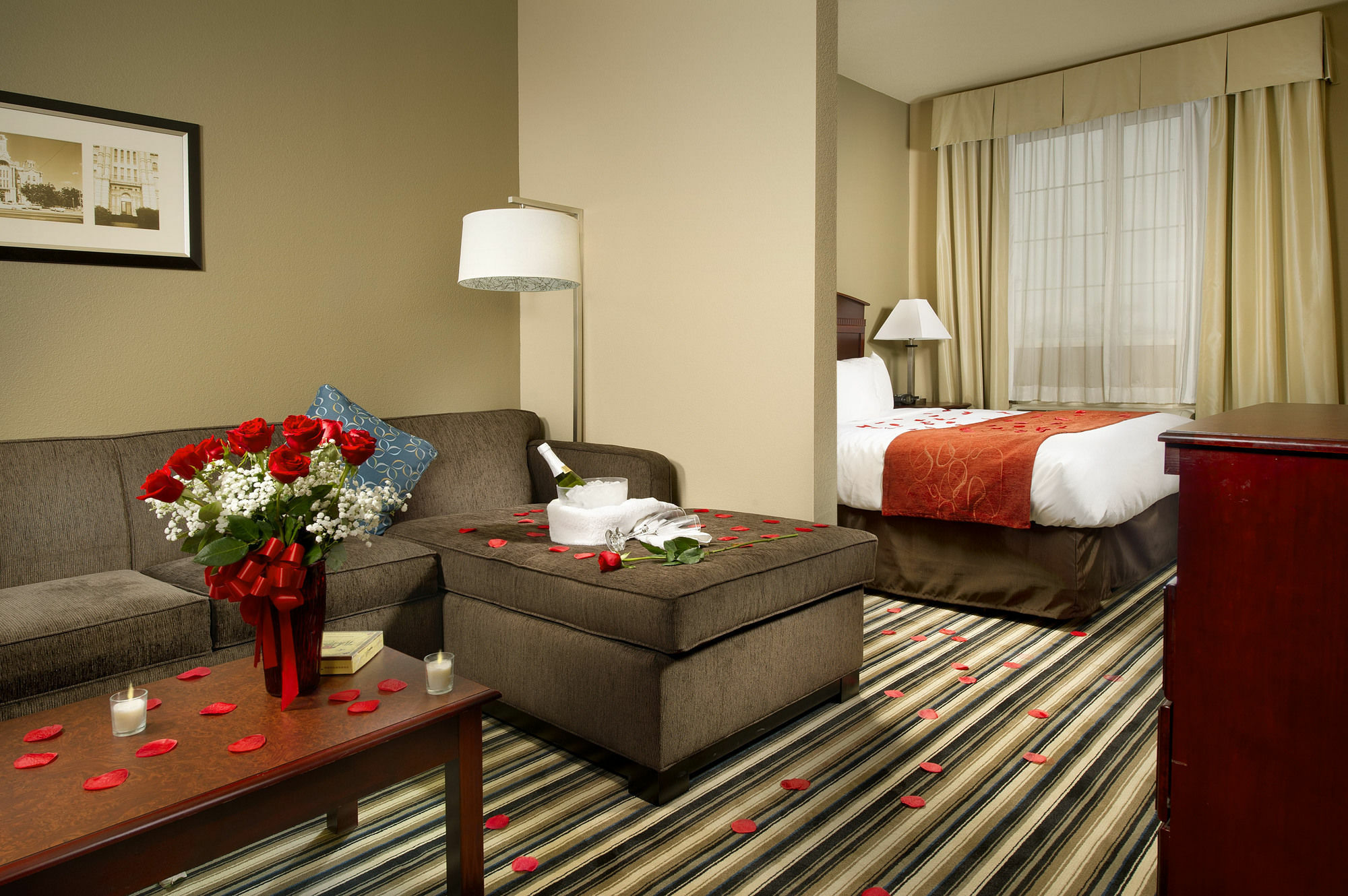 Comfort North - Near Area 3*