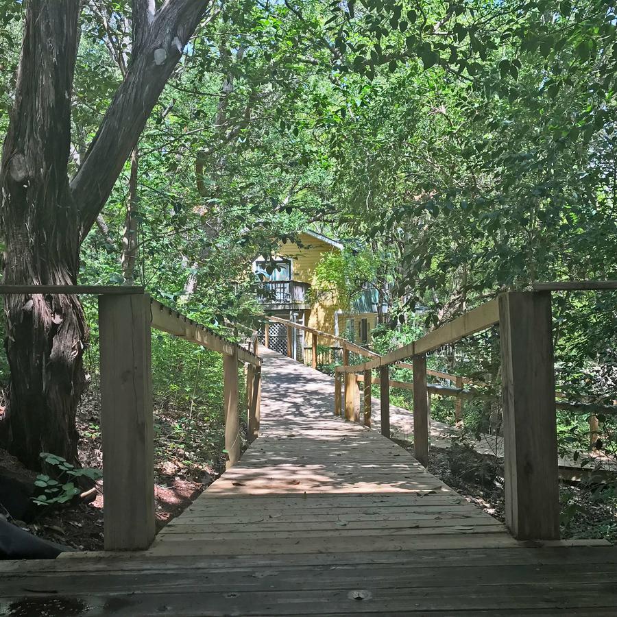 On White Rock Creek